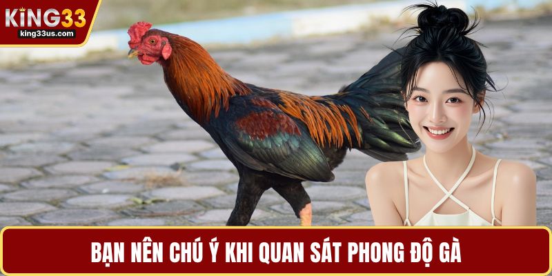Đá Gà Trực Tiếp Thomo – Luật Chơi, Kinh Nghiệm Hot - uvix.bet