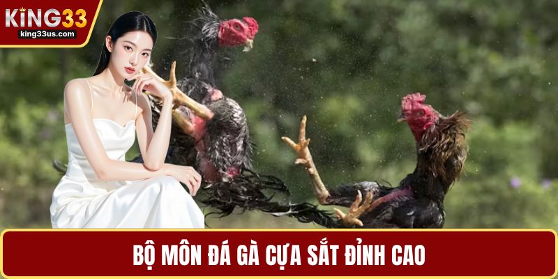 Đá Gà KING33 Và Bí Quyết Chinh Phục Sảnh Chơi Đỉnh Cao - uvix.bet