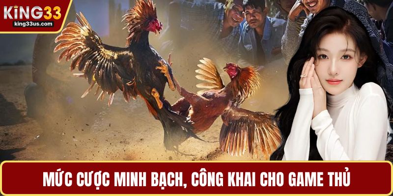 Đá Gà KING33 Và Bí Quyết Chinh Phục Sảnh Chơi Đỉnh Cao - uvix.bet