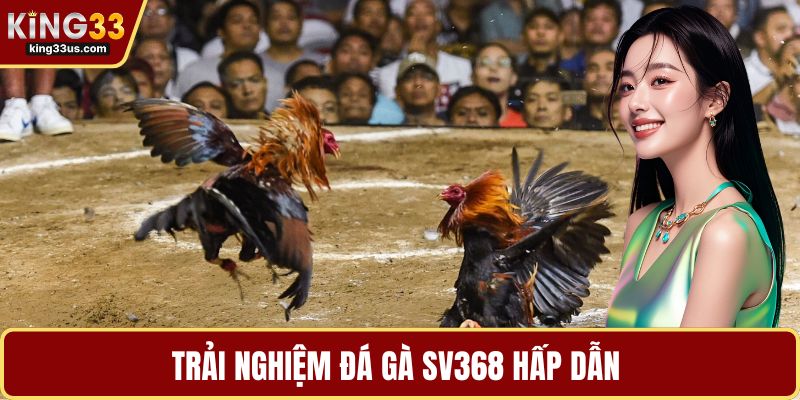 Đá Gà SV368 – Trải Nghiệm Cá Cược Cực Đã Khi Chơi 2026 - uvix.bet