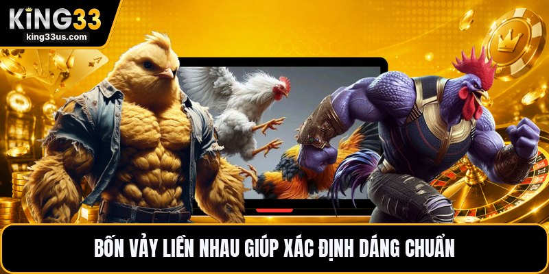 Vảy Gà Tứ Quý Phủ Địa - Dấu Hiệu Nhận Biết Chính Xác - uvix.bet