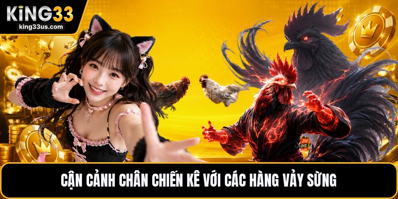 Vảy Gà Tứ Quý - Cách Nhận Biết Dấu Chân Chiến Kê Hay - uvix.bet