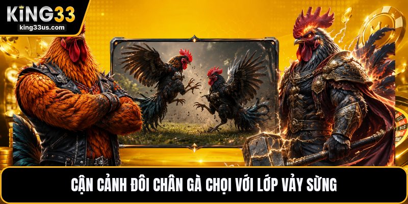 Vảy Gà Khai Vương - Dấu Hiệu Nhận Biết Chính Xác Nhất - uvix.bet