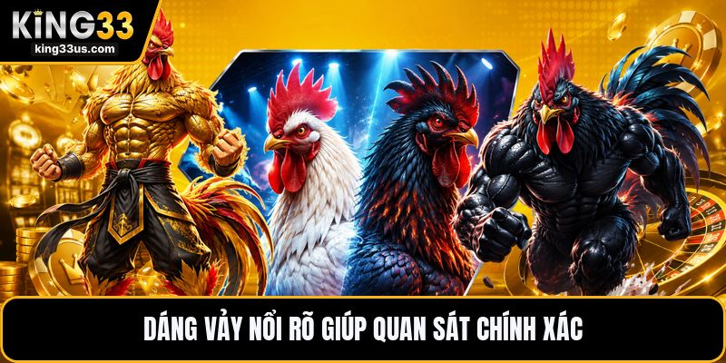 Vảy Gà Khai Vương - Dấu Hiệu Nhận Biết Chính Xác Nhất - uvix.bet