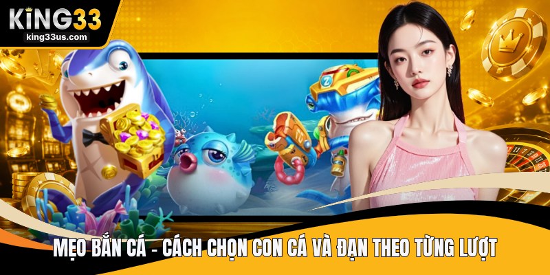 Mẹo Bắn Cá - Cách Chọn Con Cá Và Đạn Theo Từng Lượt - uvix.bet
