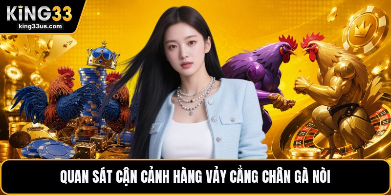 Vảy Gà Tứ Quý Phủ Địa - Dấu Hiệu Nhận Biết Chính Xác - uvix.bet