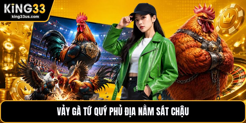 Vảy Gà Tứ Quý Phủ Địa - Dấu Hiệu Nhận Biết Chính Xác - uvix.bet